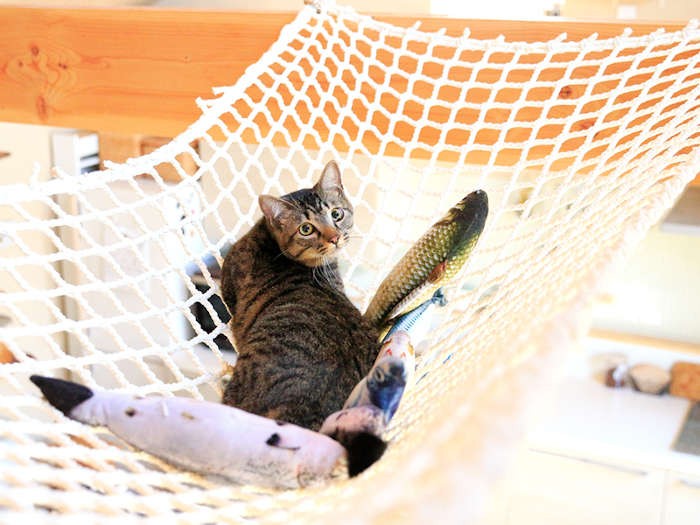 おくつろぎ中、失礼します！