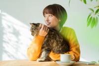 猫を1匹飼育するための月額費用の目安 ※画像はイメージです。（One/stock.adobe.com/）