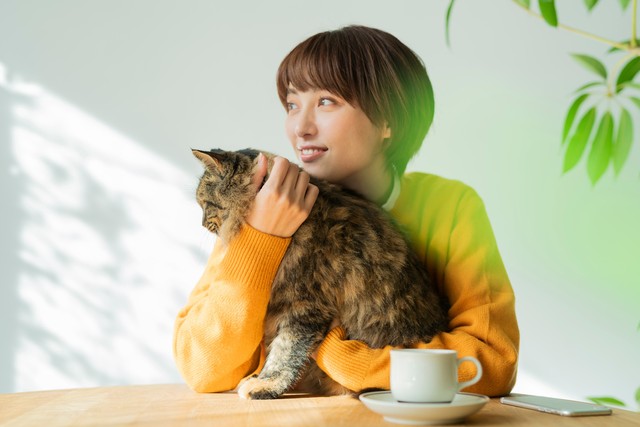 猫を1匹飼育するための月額費用の目安 ※画像はイメージです。（One/stock.adobe.com/）