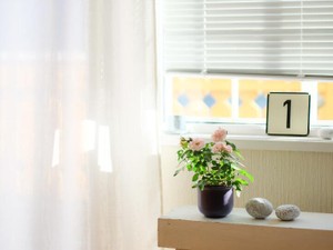 不器用で人間関係がヘタな父。そんな父に私はとてもよく似ている