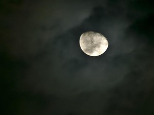 性的なことは嫌いだけど抱きしめてほしい夜、女性用風俗を予約した