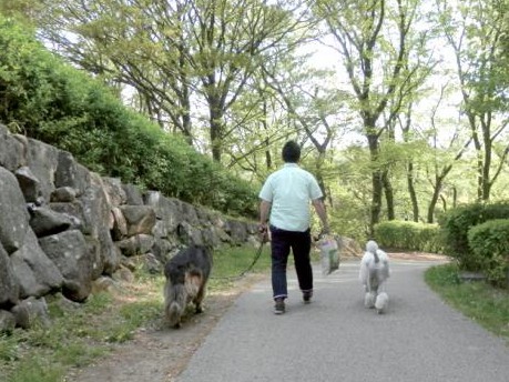犬で人が育つ　犬と歩けば健康に？