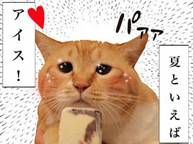 お太りさま猫ぐっぴーの夏　猛暑対策は、適切な温度管理と“あたり”つきアイス？