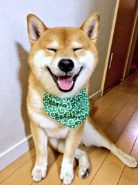 ママをメロメロにする極上の笑顔！ キュートなこたろうくん（画像提供：こたろうくん）