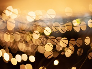 自分の名前とタイトルを指でなぞる。エッセイを本にする夢が叶った日