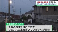 住宅街でサルの目撃情報が相次ぐ　警察が警戒を呼び掛ける　宮城・塩釜市