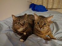 左が福ちゃん、右は後に迎えた金吾くん