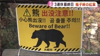 ４か国語でクマ出没注意　紅葉が見頃の鳴子峡　宮城・大崎市