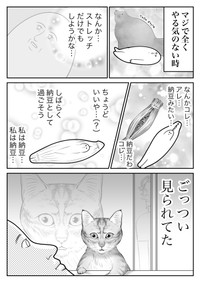 【漫画】『ネコまんがまとめ』13　（も～さんの提供）