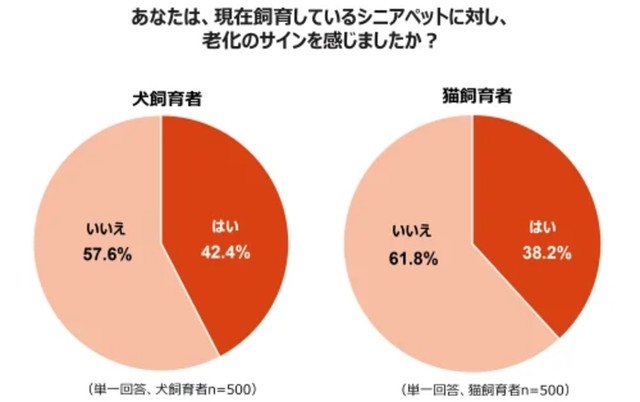 あなたは、現在飼育しているシニアペットに対し、老化のサインを感じましたか？（提供画像）