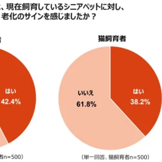 あなたは、現在飼育しているシニアペットに対し、老化のサインを感じましたか？（提供画像）