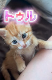 こちらは、トゥルちゃん（「けいちゃん⌇お家大好き51歳母」さん提供、Instagramよりキャプチャ撮影）