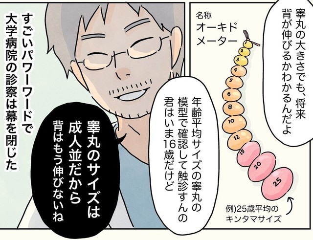 睾丸のサイズからもう身長が伸びないことが判明（コンテくん提供）