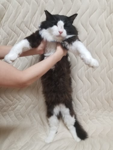 ぎんちゃま、ちゃまちゃま、ちゃまのすけさん…いろんな愛称で呼ばれています。
「俺どれも気にいってる」