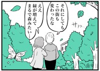 ラストに登場する蝶（ミヤギトオルさん提供）