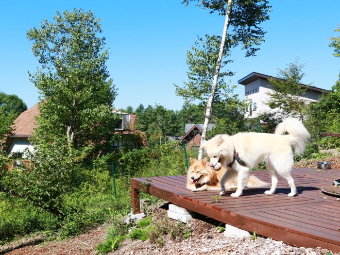 山の家のテラスにて