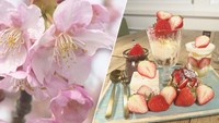 河津桜にイチゴスイーツ…香川・東かがわ市で感じる春を満喫♪【いまココ！ナビ】