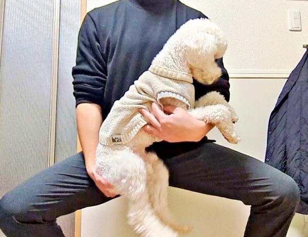 飼い主さんの筋トレにひと役買う小夏ちゃん（画像提供：イヌカワさん）