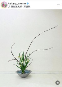 田原萌々アナウンサーのインスタグラム＠tahara_momoより