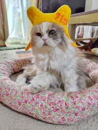 21歳の誕生日を迎えた日のすぴかちゃん