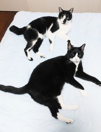 すくすく成長した（手前）びびさん（奥）ドンちゃん（画像提供：信さん）