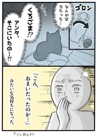 【漫画】『ネコと暮らした9日間』48（イゴカオリさん提供）
