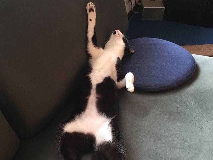 「ここは天国だわ」