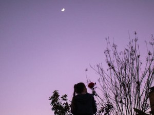 可愛くて仕方ない妹へ。あの時、手を出して携帯も壊してしまってごめんね