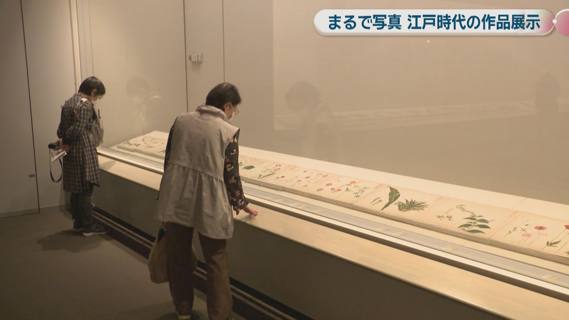 まるで写真！江戸時代に描かれた写実作品の展覧会 香川県立