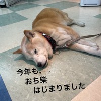 「ご来店の際は足元お気をつけくださいませ」とツイートされました（提供：安田文具店＠西宮）