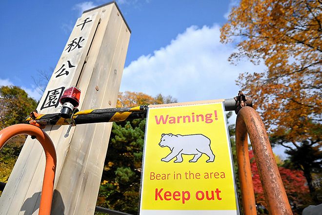 From Kyoto to Aomori: Bear incidents disrupt fall tourism scene