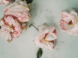 本当はラグビーをやりたかった。「女の子だから」は諦める理由になるの？