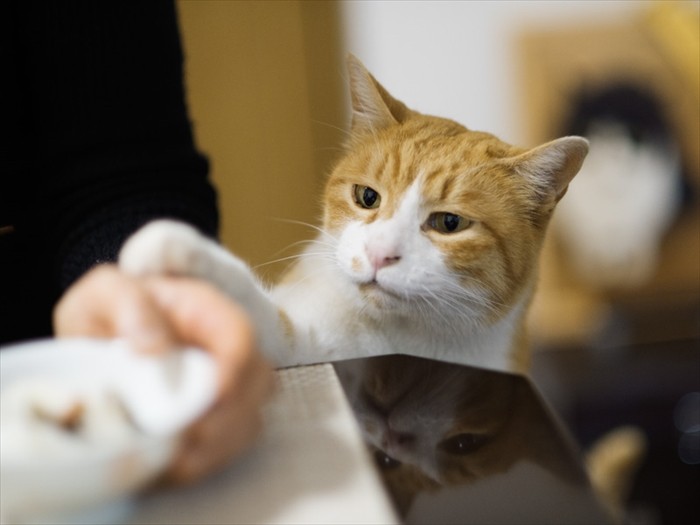 「ねえねえ、そんなもの食べてるの」（小林写函撮影）