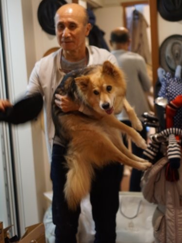 抱かれたまま玄関に向かいリードの準備をします