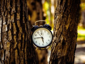 早寝早起きも難しくなった私は、「期待しない」ことで前向きになる