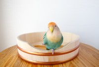 （提供:立花容器）