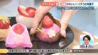 【中継】「隠れたツツジの名所＆かわいい人気和菓子」岡山・早島町の推しを紹介！〈#推しドコ？〉