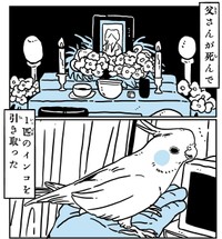 父が飼っていたインコを引き取ることに（かもみらさん提供）