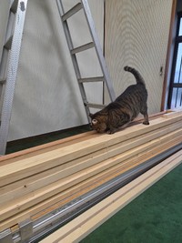 （画像提供：パン工房アウビングさん）