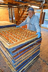 干し柿の製造方法で特許を取得した百市農園の福岡博義代表＝島根県松江市東出雲町