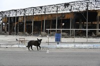 工業製品の市場としては東ヨーロッパ最大の「バラバショボ」。ロシア軍の砲撃を受け、建物が焼けた