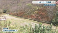 宝山湖　三豊市財田町財田上