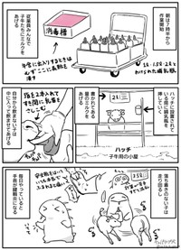 【漫画】『酪農を1ヶ月で辞めた話』2（チュパカブRさん提供）