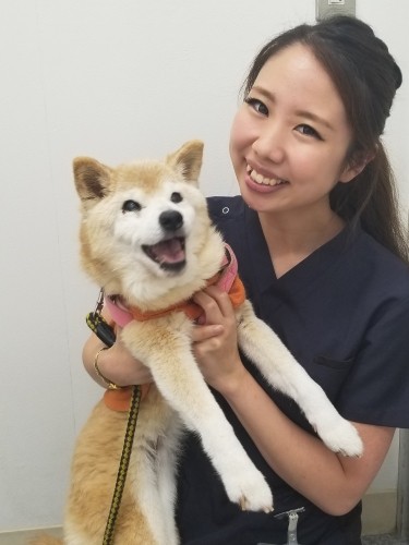 シニア犬が大好きで、院内でシニア教室を開催している（三橋さん提供）