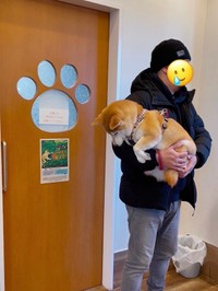 「診察室から仲間の悲鳴が！なかで一体何が！？」（画像提供：柴犬もも さん）