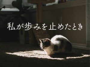 私が歩みを止めたとき part2