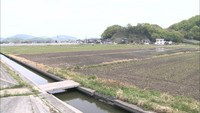 何者かに水門開けられ、田んぼに海水流れ込む　約16ヘクタールの農地に浸水被害　岡山市