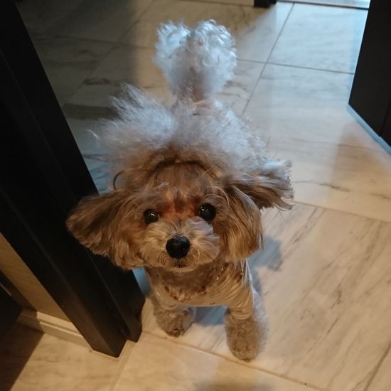 今ではすっかり明るく「ママみつけたー」　（りえさん提供）