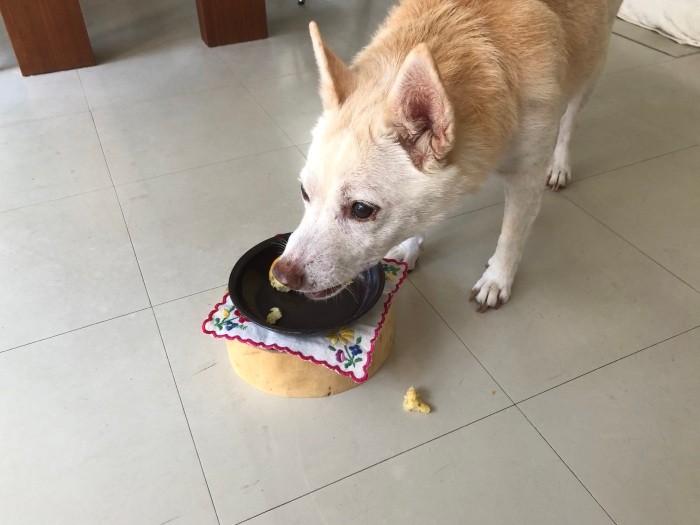 おいしくて無我夢中です