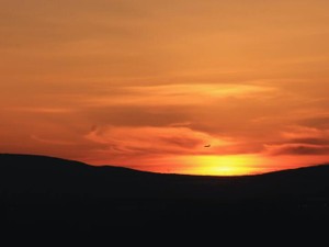 15分毎にSNSを開く。「自分がいかに幸せであるか」わからせるのに四苦八苦していた